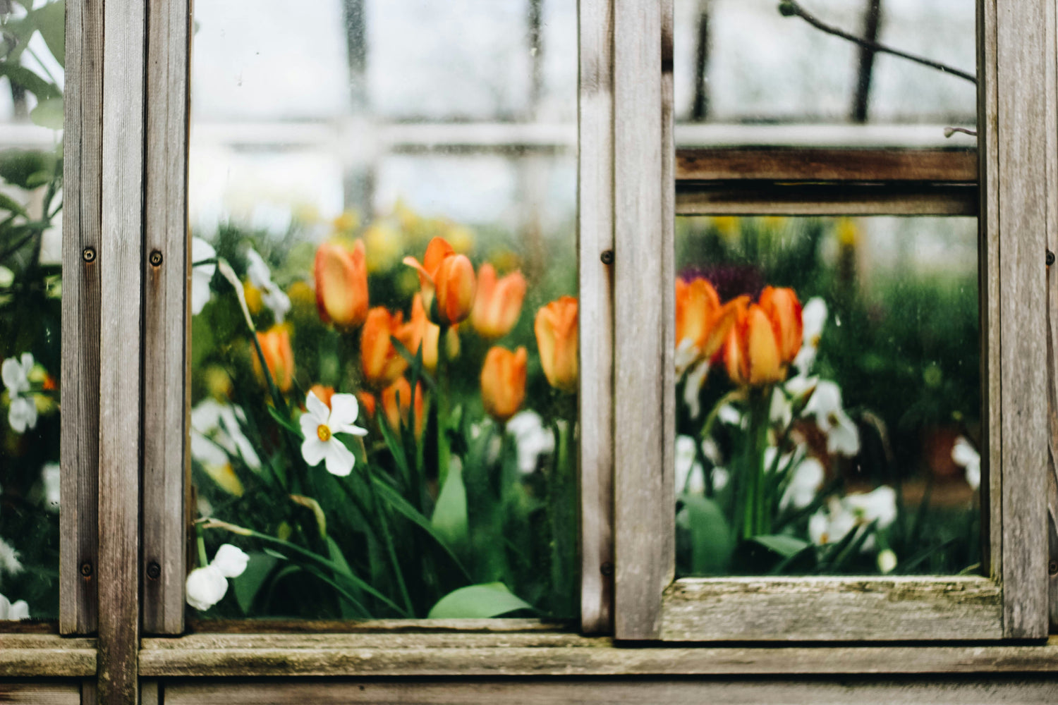 Sind Sie bereit für den Frühling? Entdecken Sie die besten Lösungen für Ihre Räume