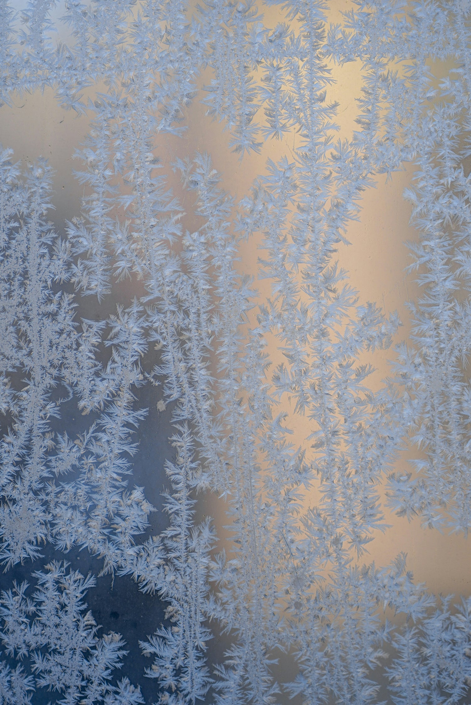 Fensterfolien im Winter: Schützen Sie Ihr Zuhause vor Frost