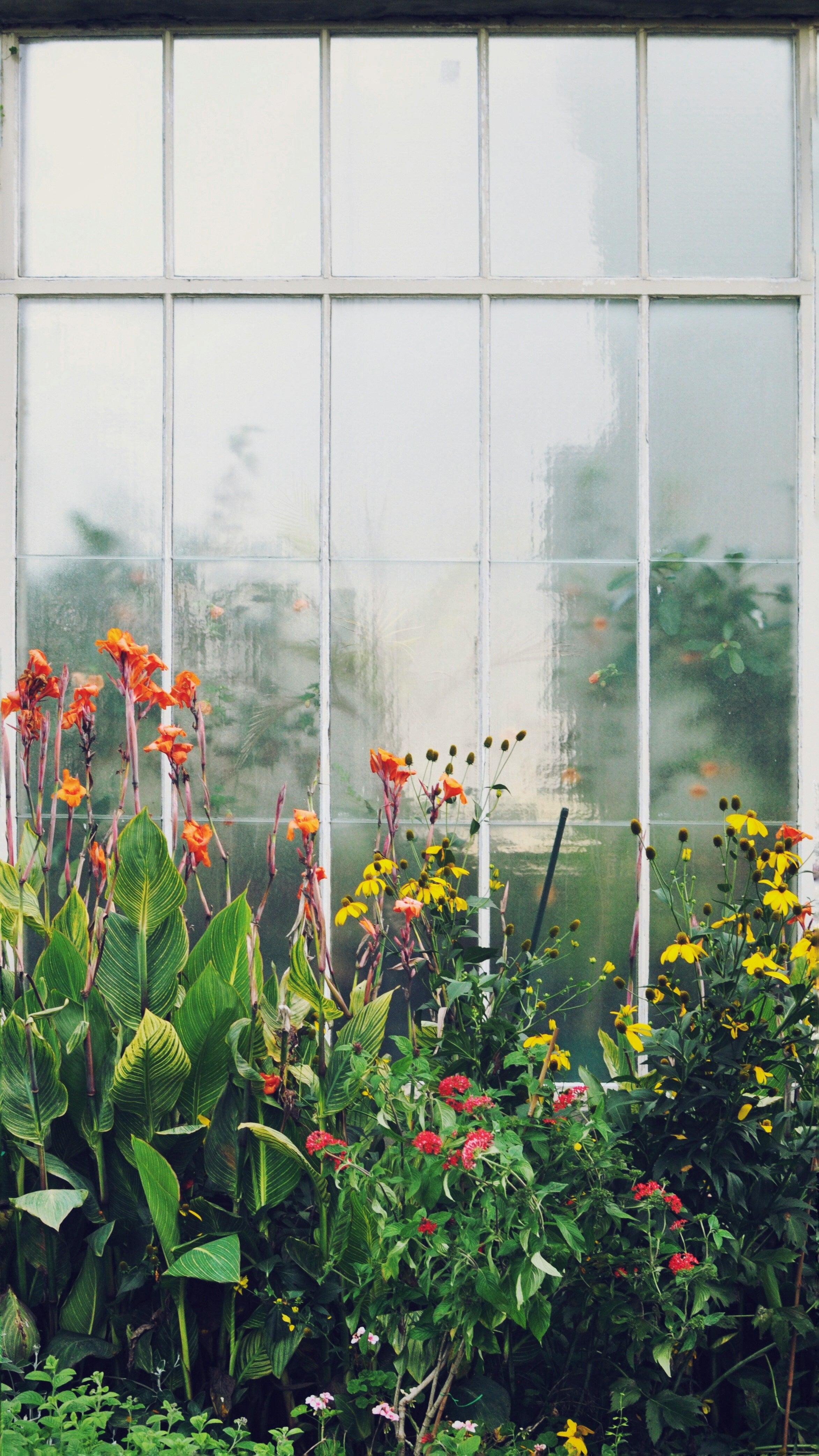 Wintergarten neu erleben: Die Vorteile von Fensterfolien für Ihr Zuhause