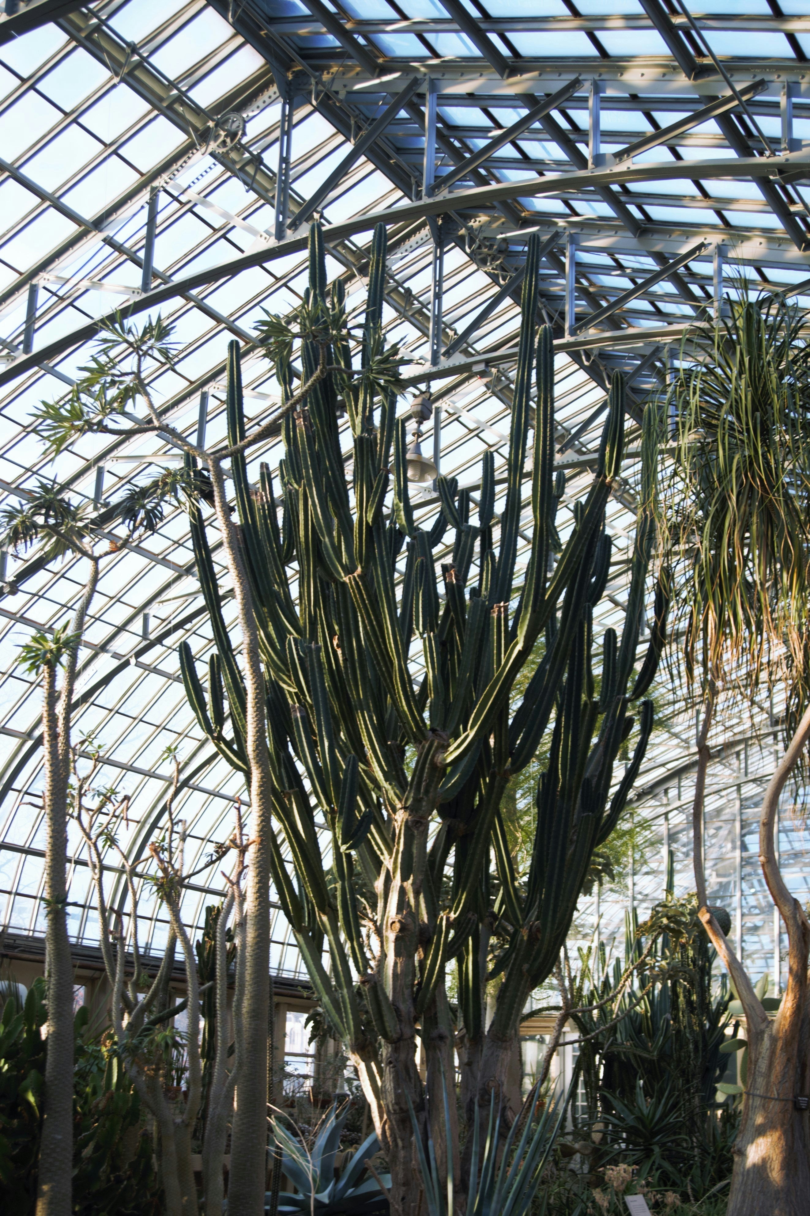 Warum Fensterfolien die ideale Lösung für Ihren Wintergarten sind