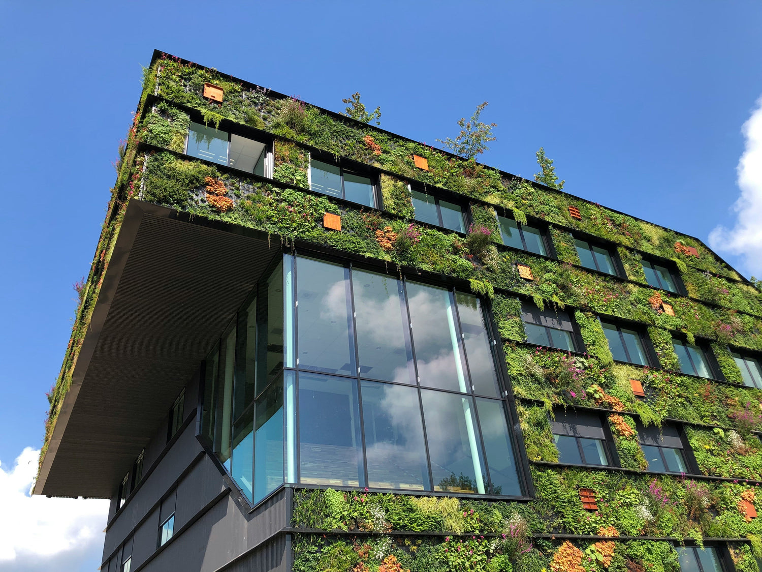 Wie Fensterfolien Ihren Raum verwandeln und die Umwelt schonen