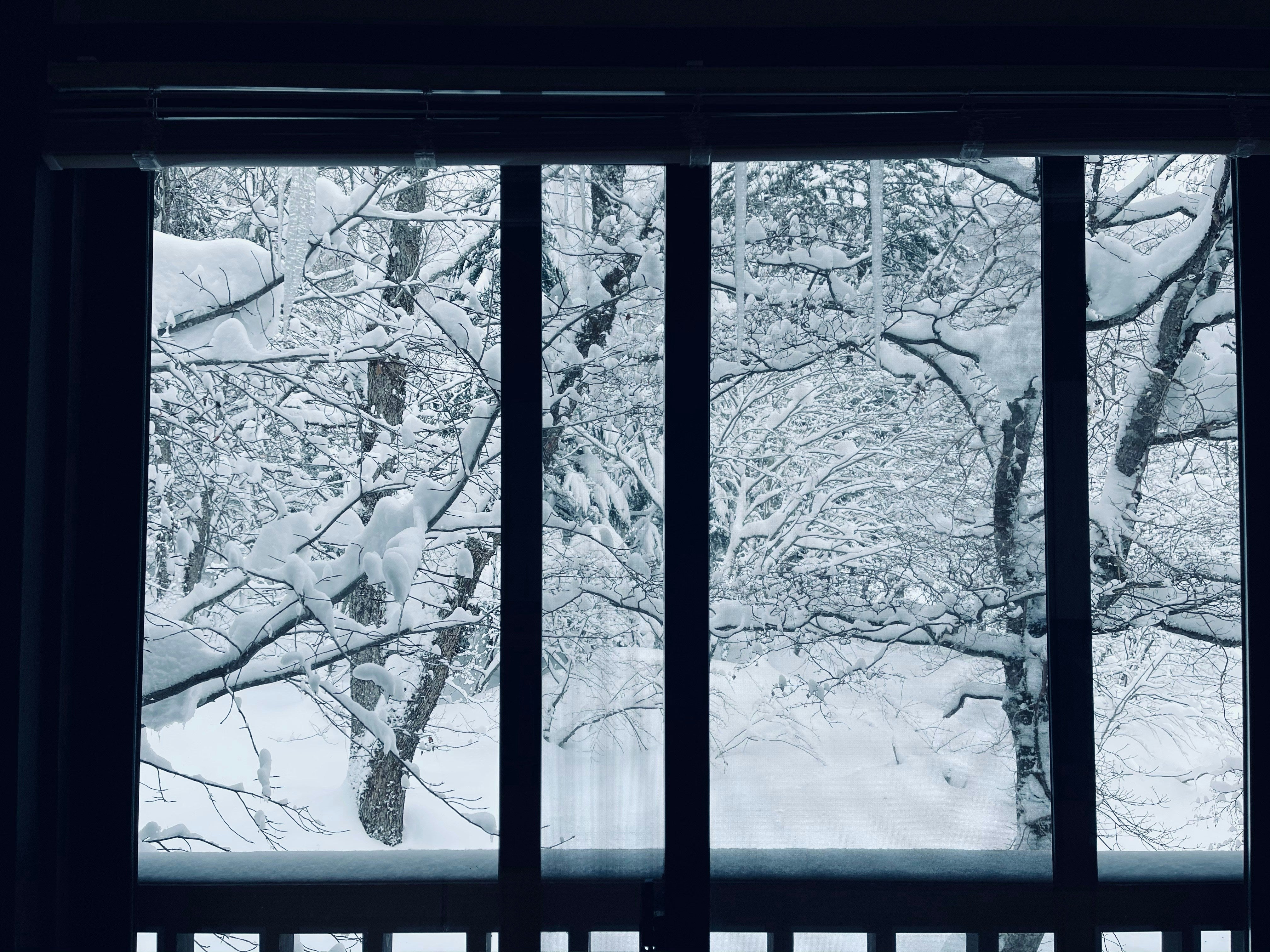 Licht und Wärme: Wie Fensterfolien Ihr Zuhause im Winter erhellen