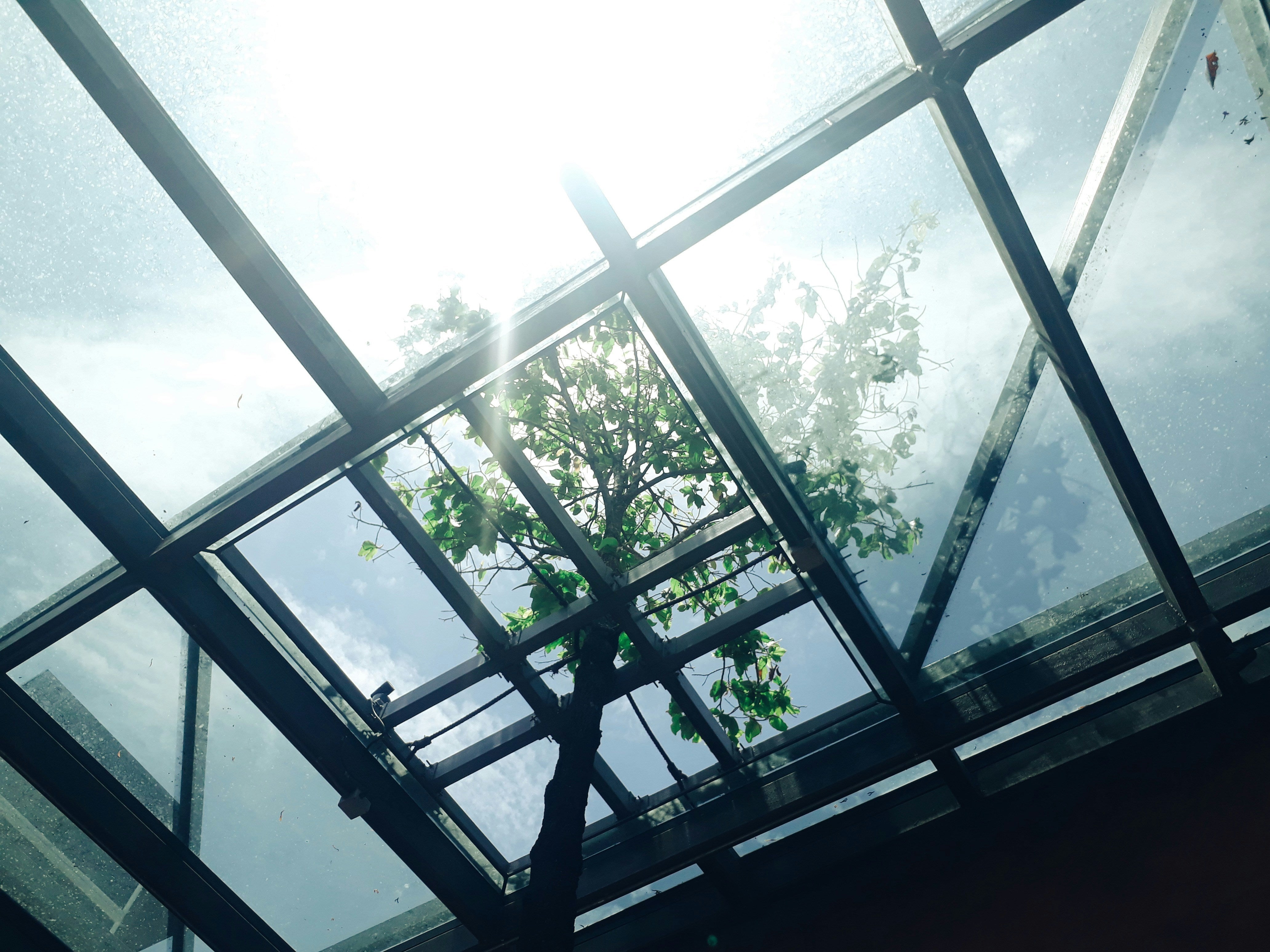 Entdecken Sie die Vorteile von reflektierenden Fensterfolien für effektiven Hitzeschutz im Sommer
