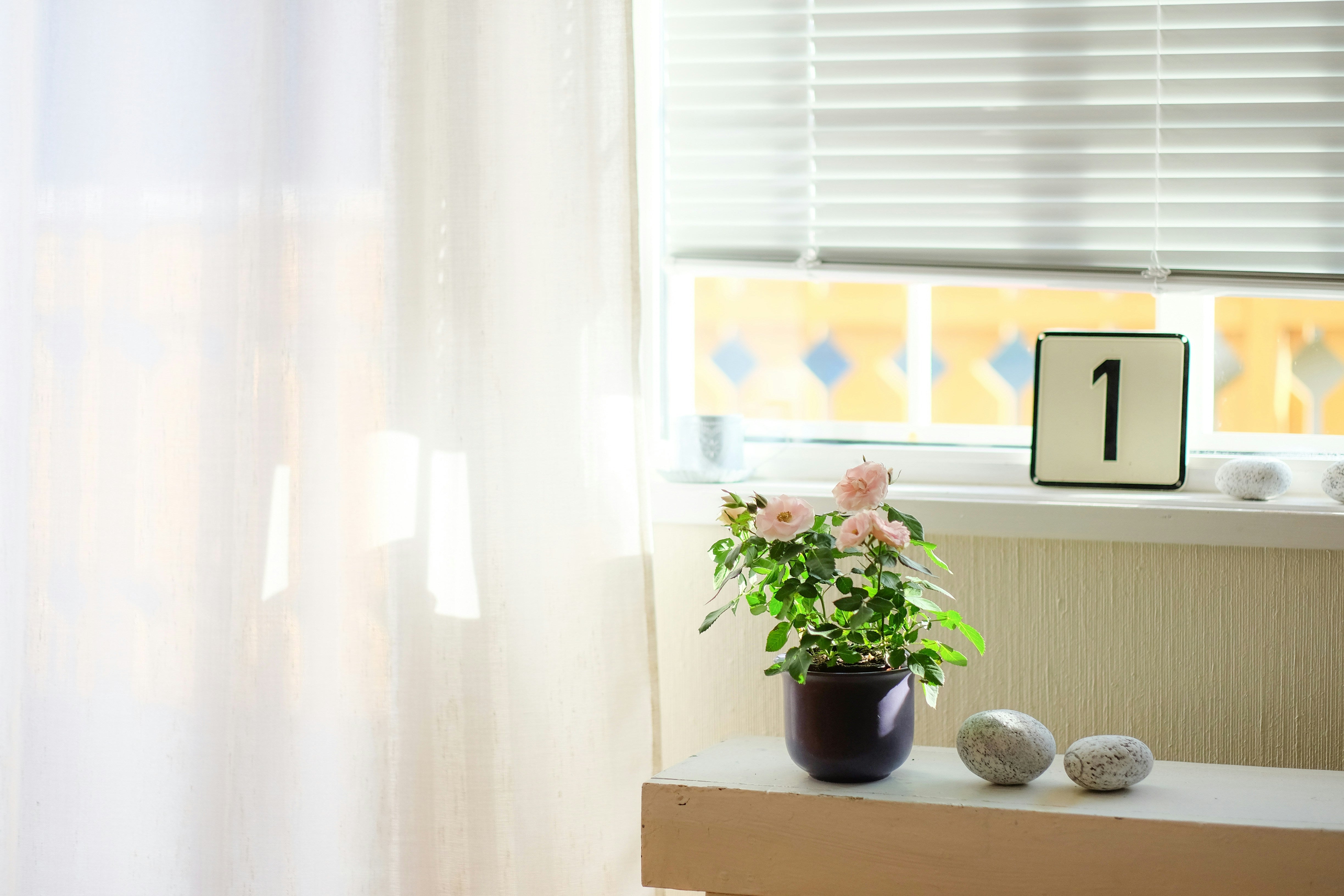 Fensterbänke im Fokus: So gestalten Sie Ihren Raum mit Pflanzen und Accessoires