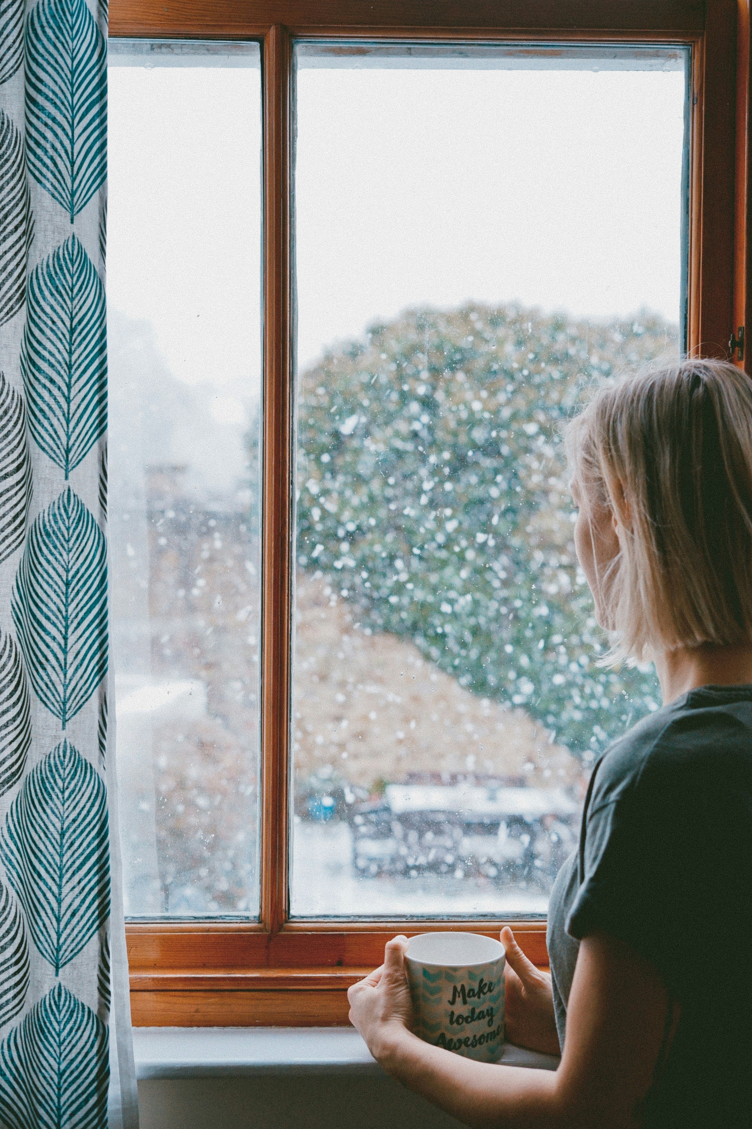 Fensterfolien: Die clevere Lösung für ein warmes Zuhause in der kalten Jahreszeit